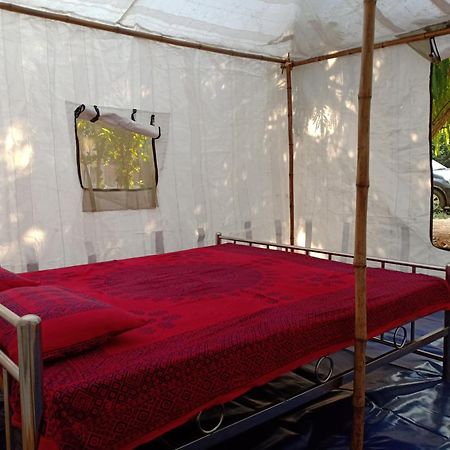 Nature Trail Camps & Homestay Τζοντχπούρ Εξωτερικό φωτογραφία