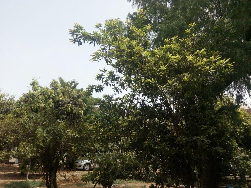 Nature Trail Camps & Homestay Τζοντχπούρ Εξωτερικό φωτογραφία