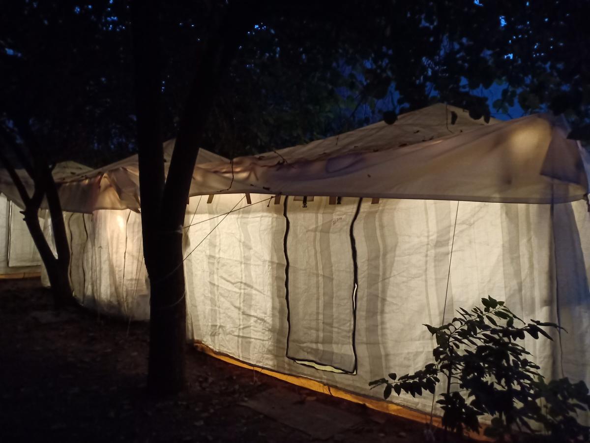 Nature Trail Camps & Homestay Τζοντχπούρ Εξωτερικό φωτογραφία