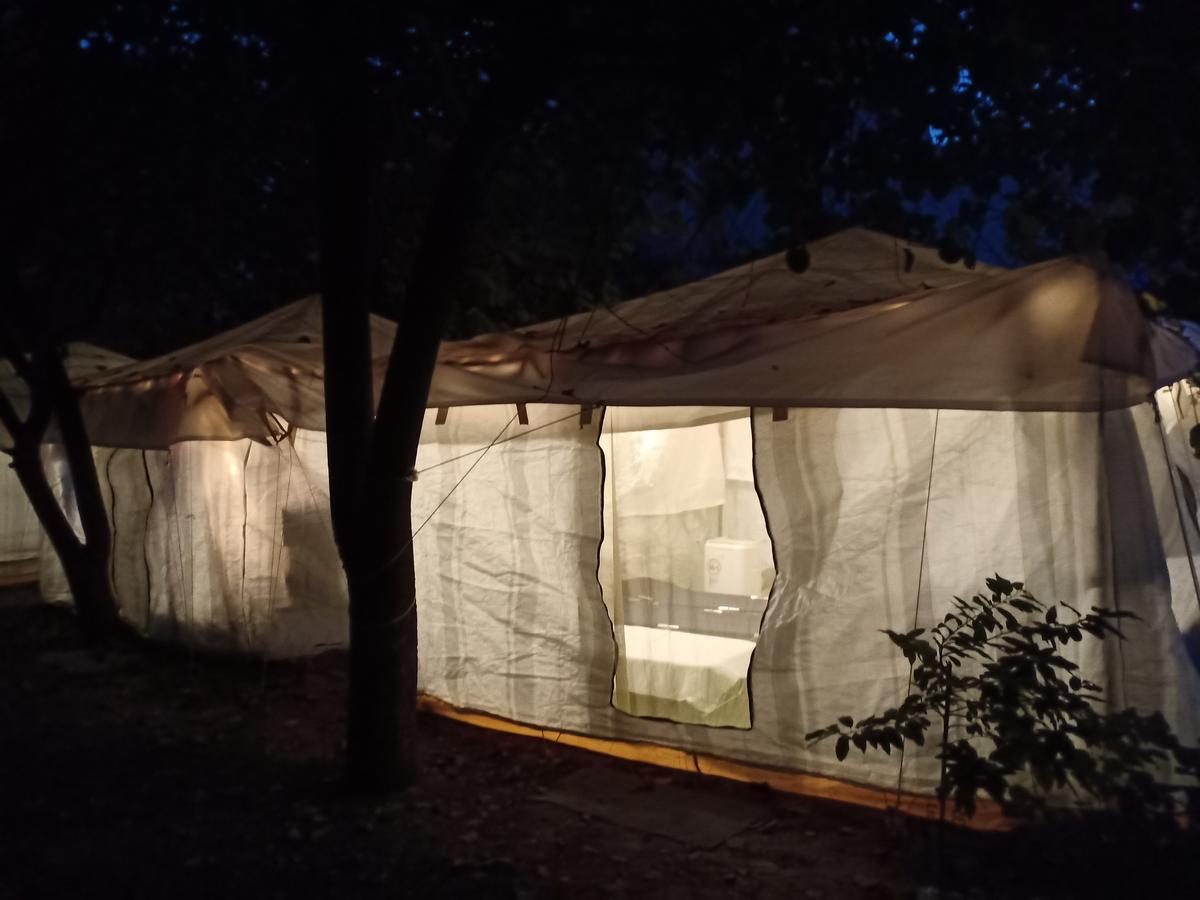 Nature Trail Camps & Homestay Τζοντχπούρ Εξωτερικό φωτογραφία