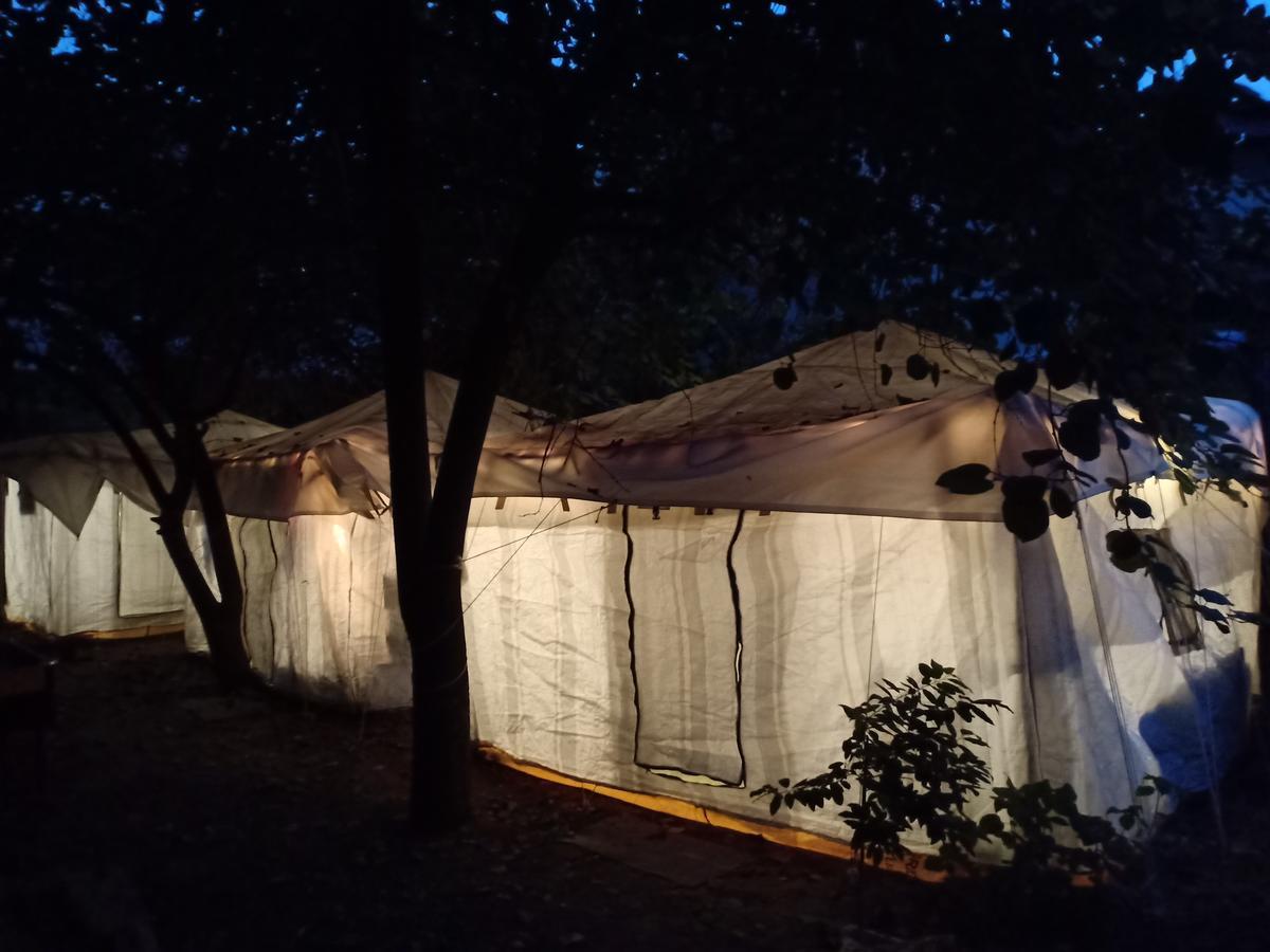 Nature Trail Camps & Homestay Τζοντχπούρ Εξωτερικό φωτογραφία