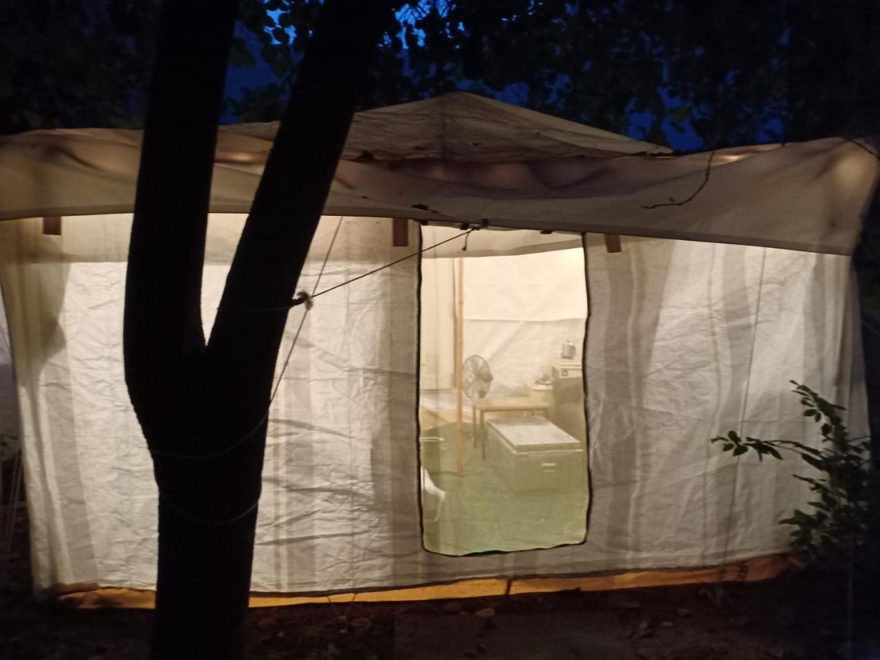 Nature Trail Camps & Homestay Τζοντχπούρ Εξωτερικό φωτογραφία