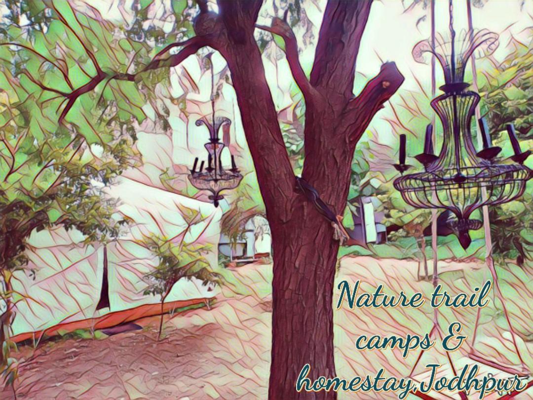 Nature Trail Camps & Homestay Τζοντχπούρ Εξωτερικό φωτογραφία